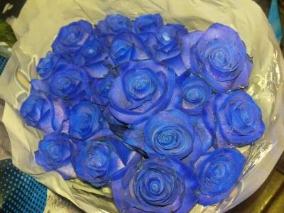 Прикрепленное изображение: синие розы.jpg